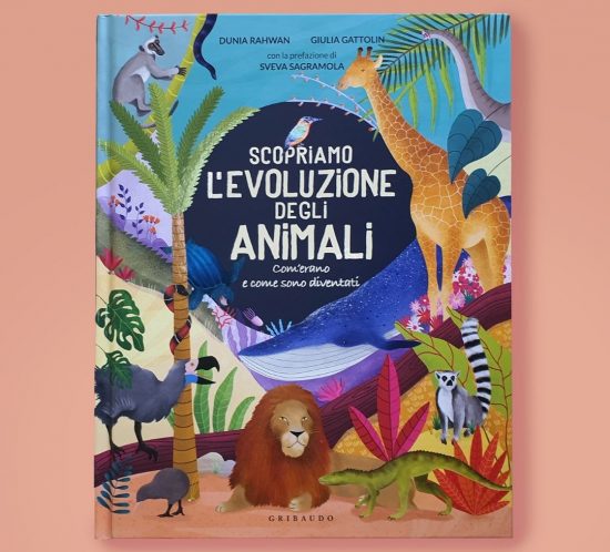 scopriamo l'evoluzione degli animali